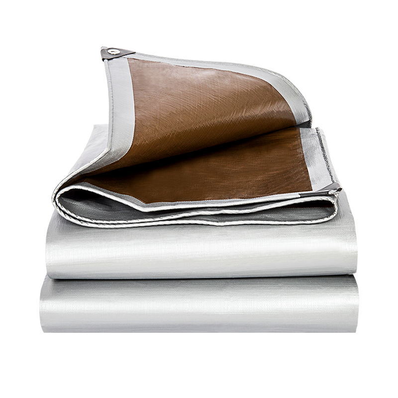 import白底实物图