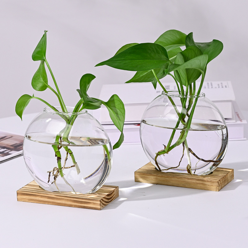 创意水培绿萝玻璃花瓶 客厅办公室桌面花瓶摆件 家居装饰插花容器