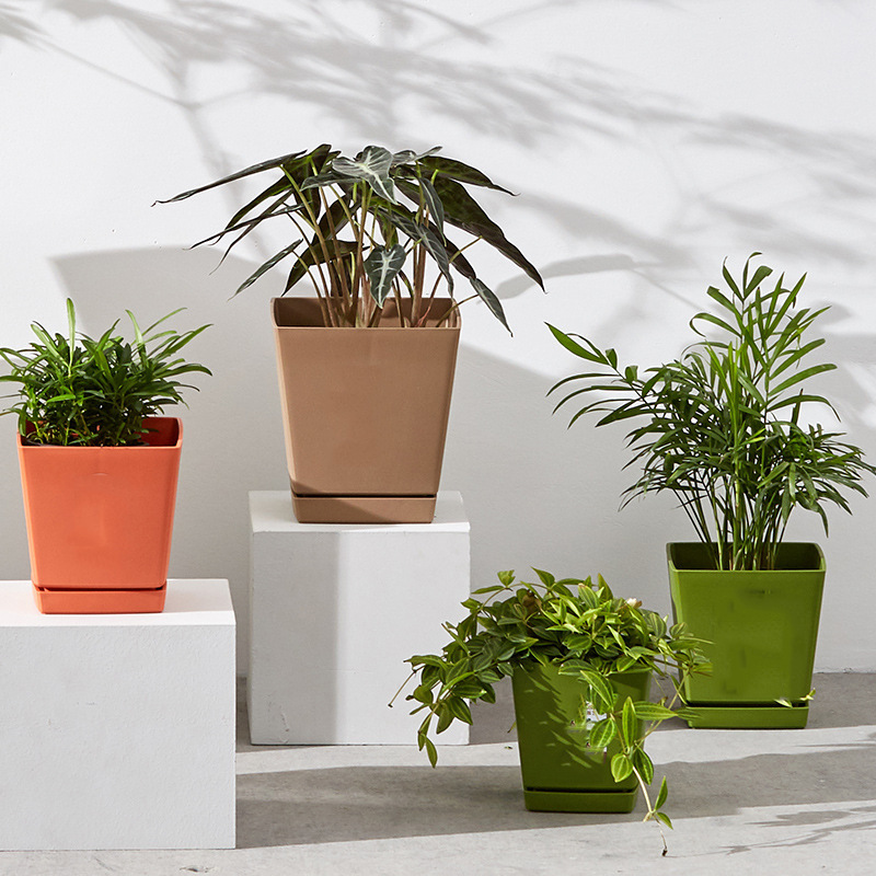 多肉盆小方盆塑料树脂小号桌面懒人花盆家用多肉植物花盆带底托