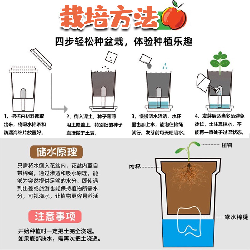 蕨类植物实物图