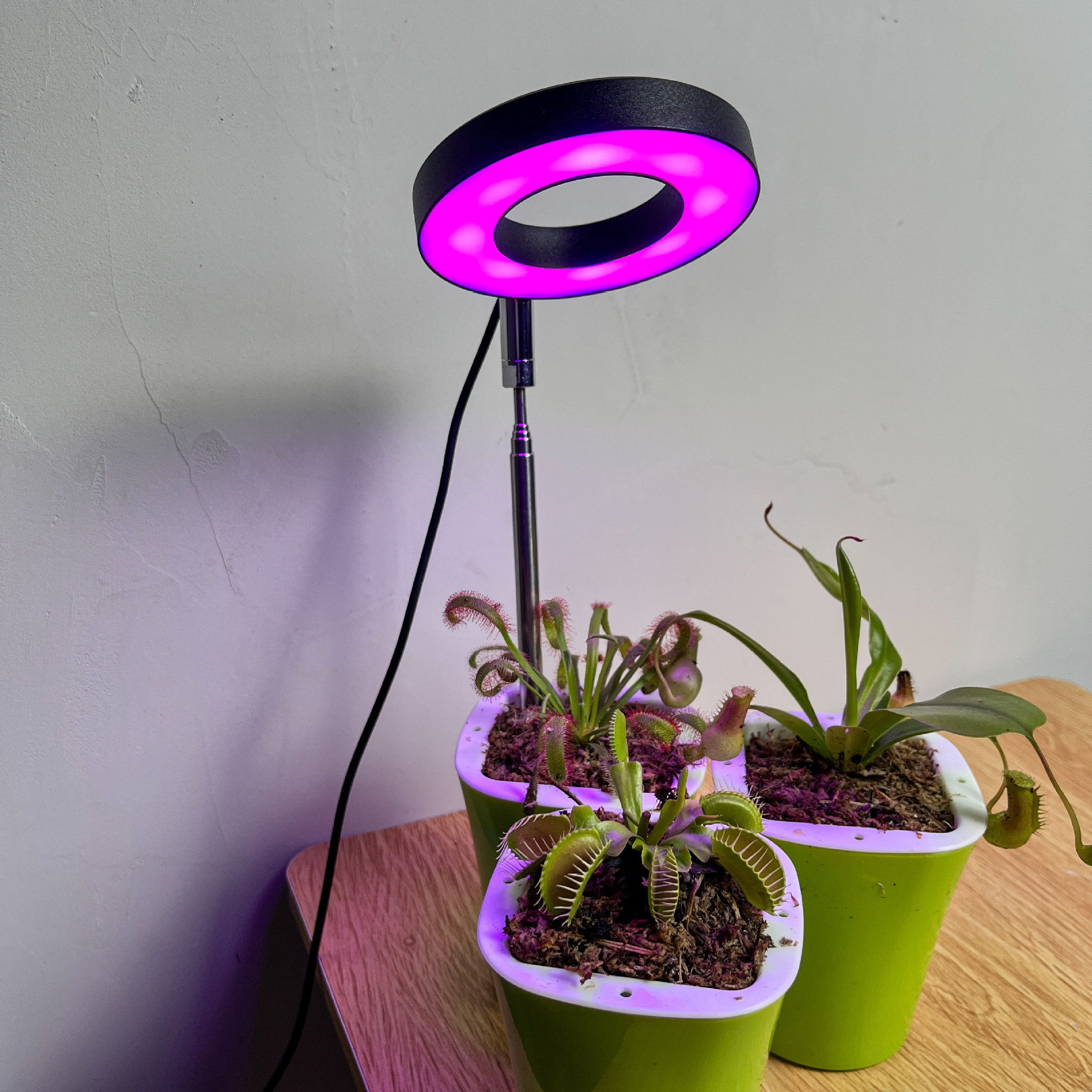 LED植物生长灯实物图