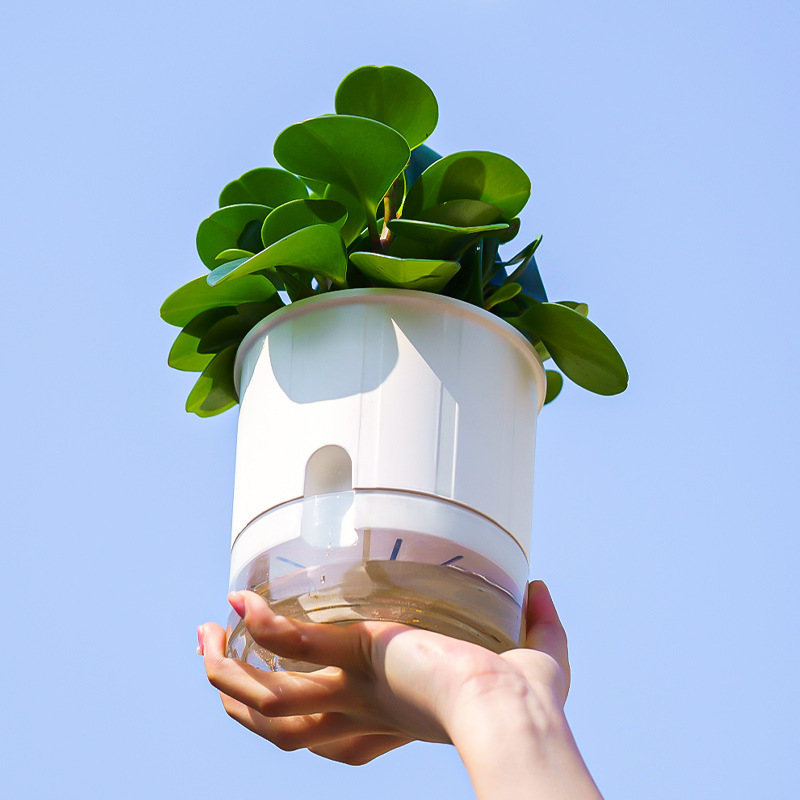 透明塑料水培花盆绿萝花卉自吸水懒人小花盆阳台室内植物水养盆器详情图3