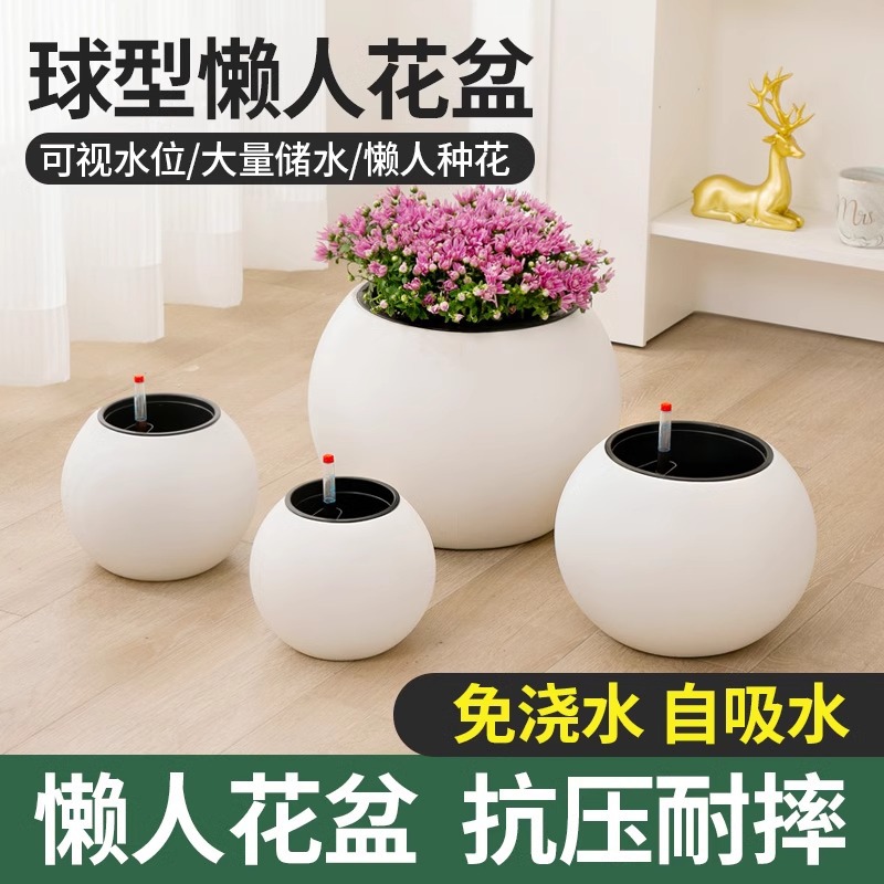 创意北欧水培花瓶桌面绿植绿萝水养花瓶球形花盆器皿家居摆件饰品