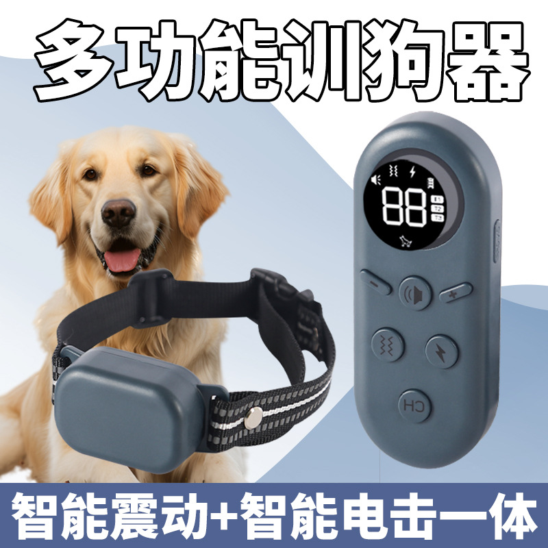 宠物智能/医疗智能老人白底实物图