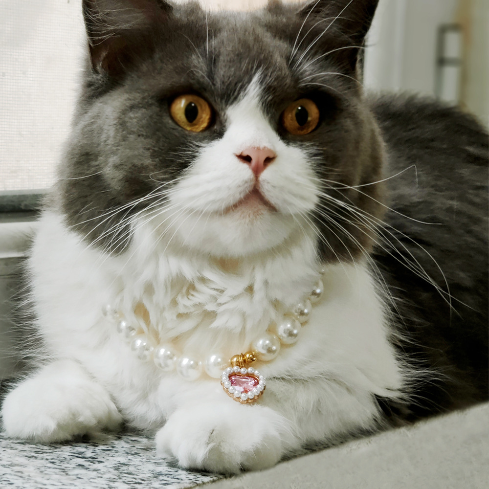 Pet cat, German cat, dog, pearl necklace, collar, small chanel-style gemstone bow, plush toy and accessories Specification image
