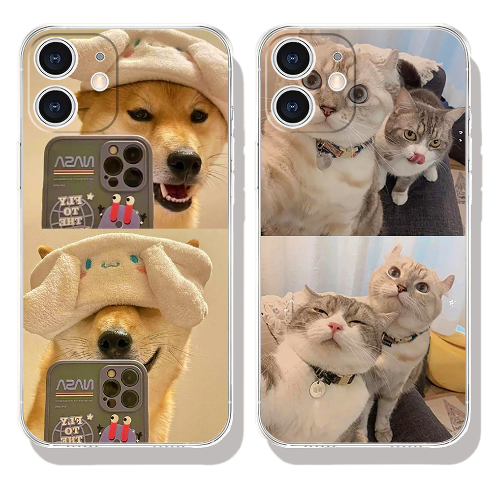 5个装猫狗手/软壳白底实物图