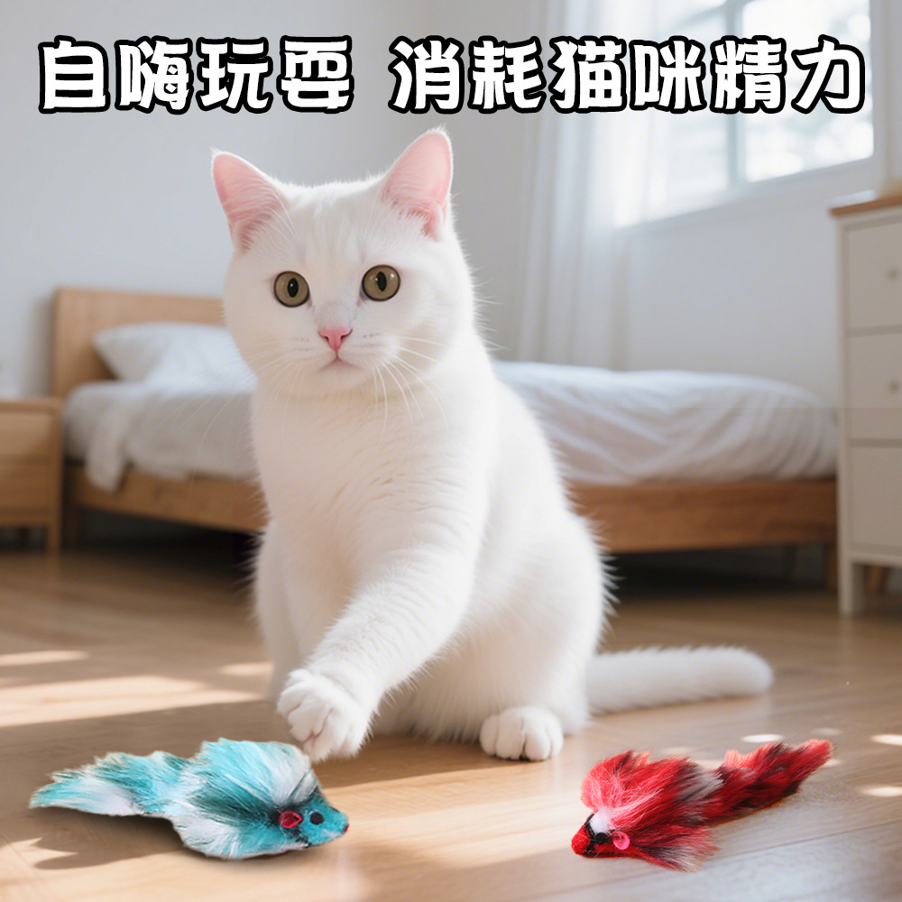 猫猫玩具实物图