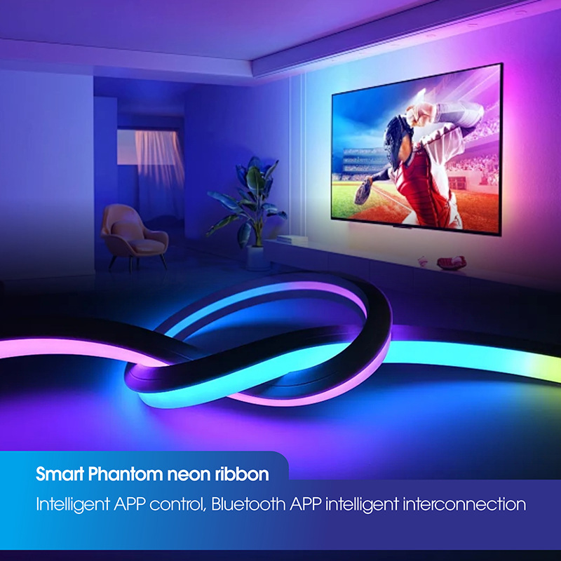 The popular cross-border e-commerce smart neon light strip set with USB port, mobile APP and music voice control function details Picture