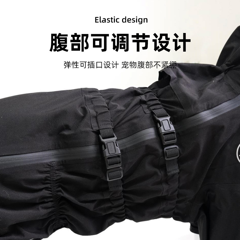 狗狗服装实物图