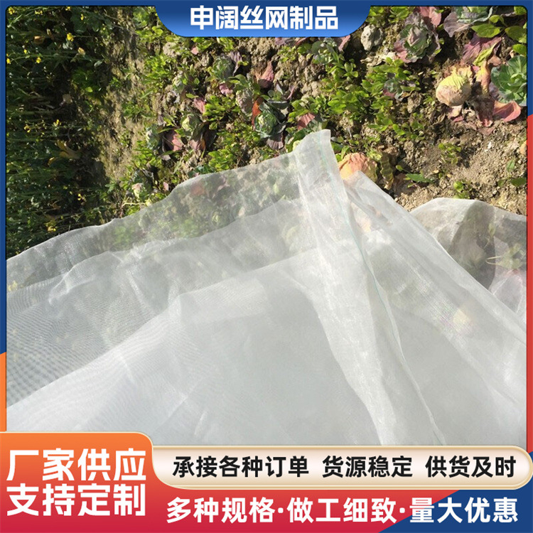 窗纱实物图