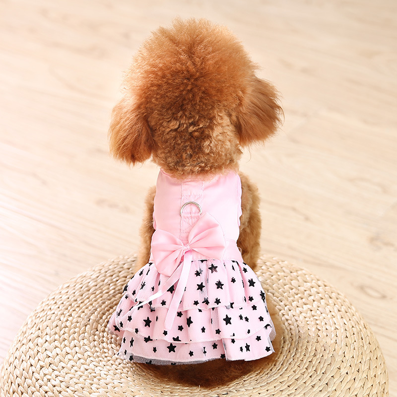Cute princess-style dog skirts for spring and summer, summer five-pointed star lace comfortable cat clothing