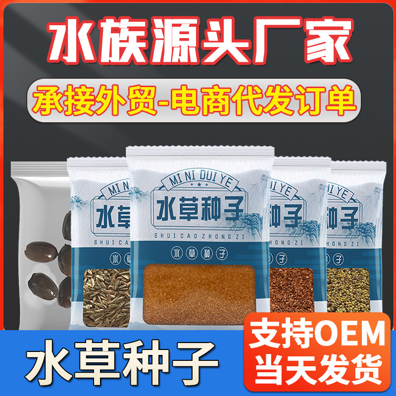 Wholesale aqua grass seed bowl lotus seed aqua grass lodo micro paisaje acuario construcción de acuario hierba real viviente planta de algas acuáticas details Picture