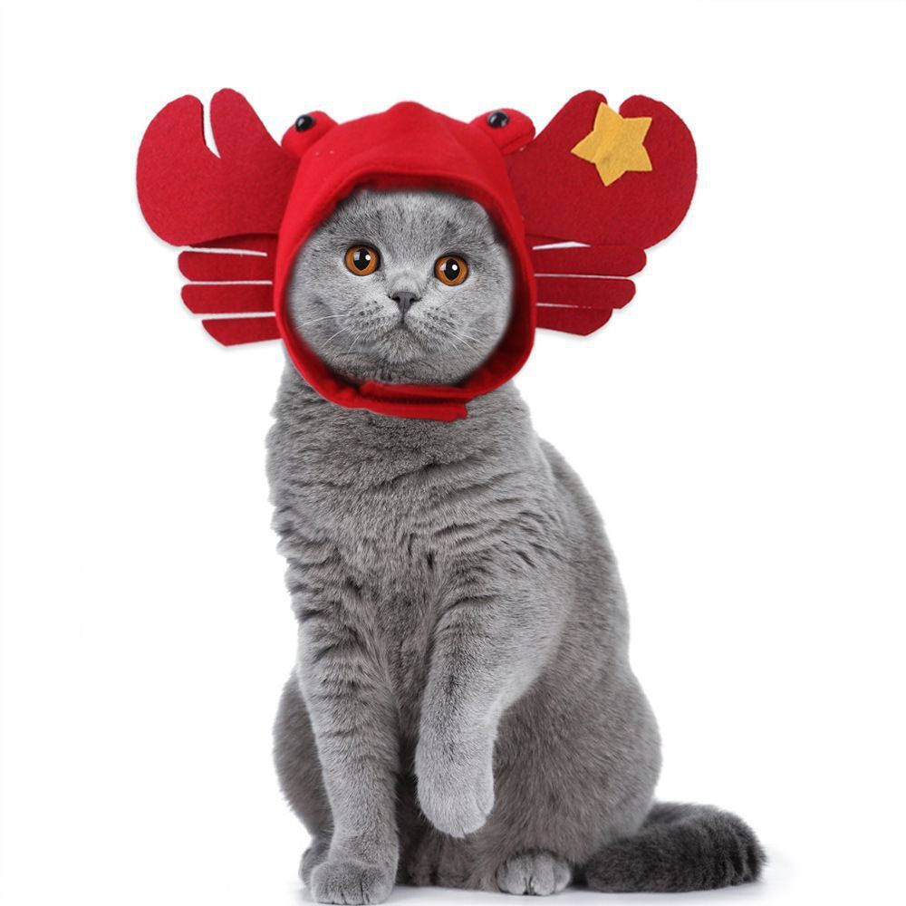 Zhi Ai Pet Headwear, Douyin Cat Pet Rabbit ear Headwear, rabbit cat hat, cute birthday decoration headwear outfit Application Scenario