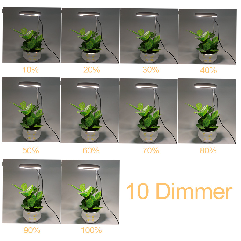 Angel Ring Plant Growth Lamp Telescopic pole full-spectrum USB timed dimming succulent bonsai plant supplementary light Item Picture