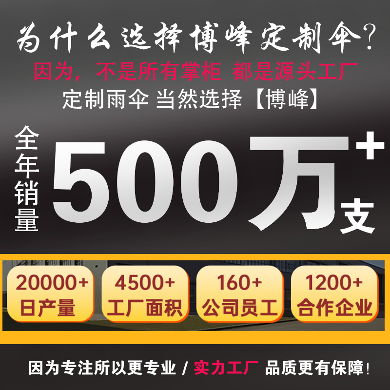 雨伞/全自动双人伞/自动折叠超大伞/史努比雨伞/直柄伞产品图
