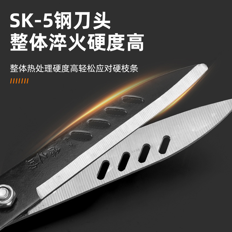 Sk5 Steel Pruning Shears Lawn Pruning Flowers And Flowers Pruning Garden Gardening Greening Hedge Hedge Fruit Tree Branch Shears Specification drawing
