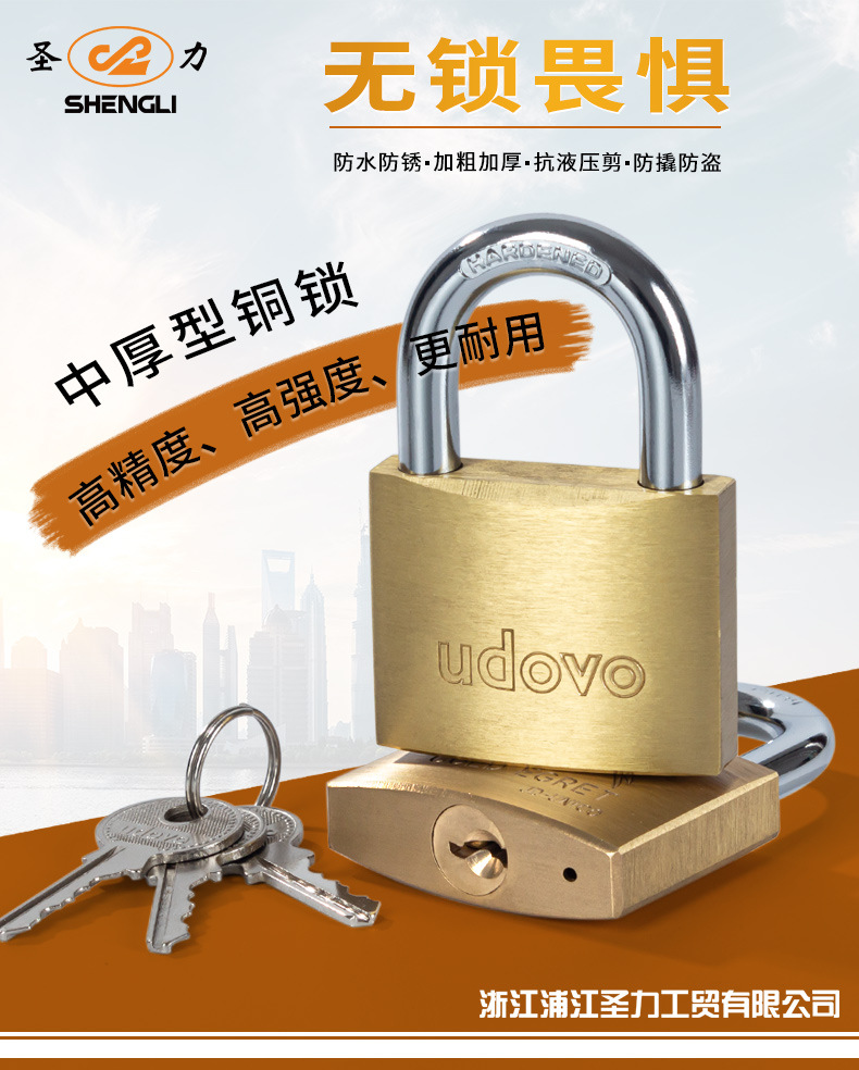 Customized full-size copper imitation padlocks, stainless steel padlocks, chrome-plated blade padlocks, titanium gold iron padlocks, copper padlocks Item Picture