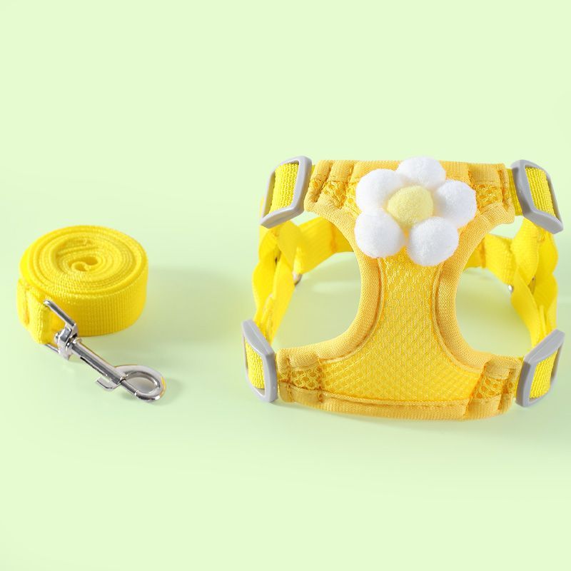 狗狗牵引实物图