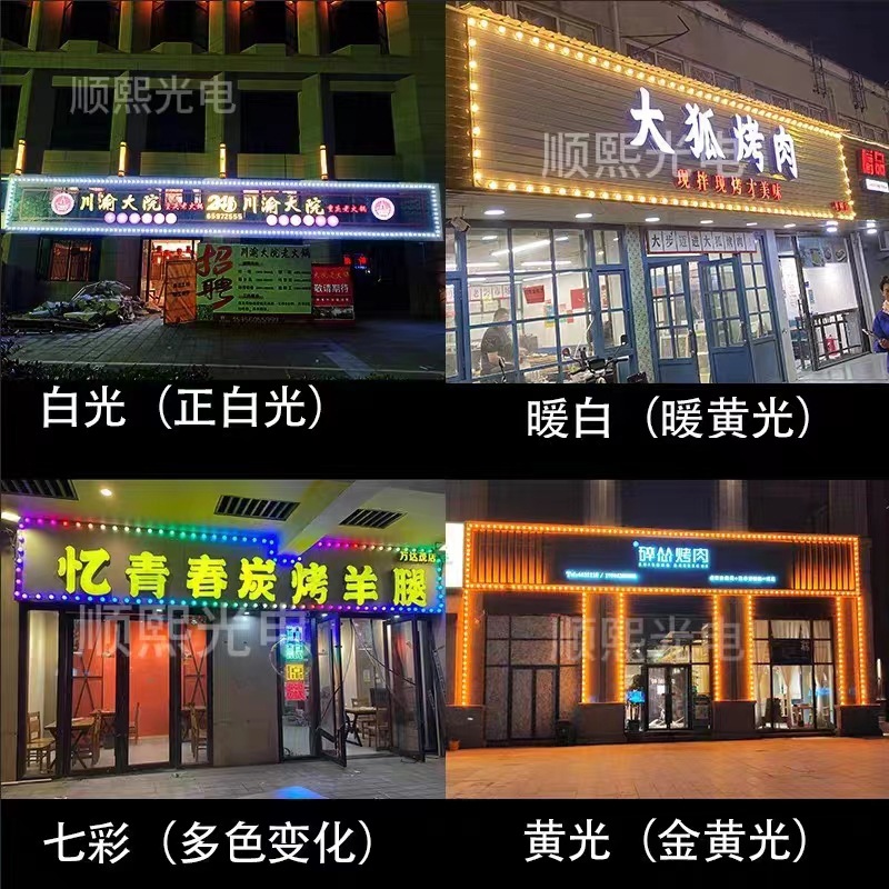 室外LED灯串实物图