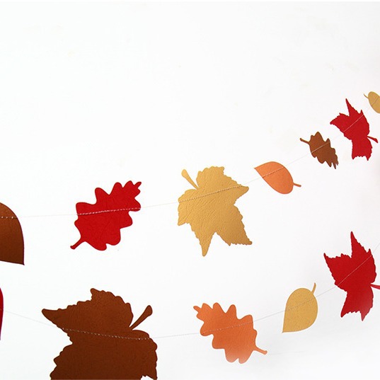 import白底实物图