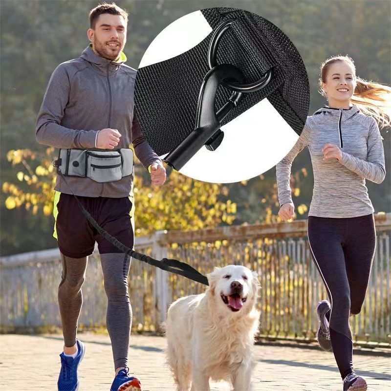 Pet training bag, portable snack bag for dog outings, dog walking bag, multi-purpose pet garbage collection bag, dog training waist bag Application Scenario