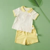 New summer set for girls: Children's lapel polo shirt, fashionable little kids short-sleeved, cute girls with printed patterns, two-piece set details Picture