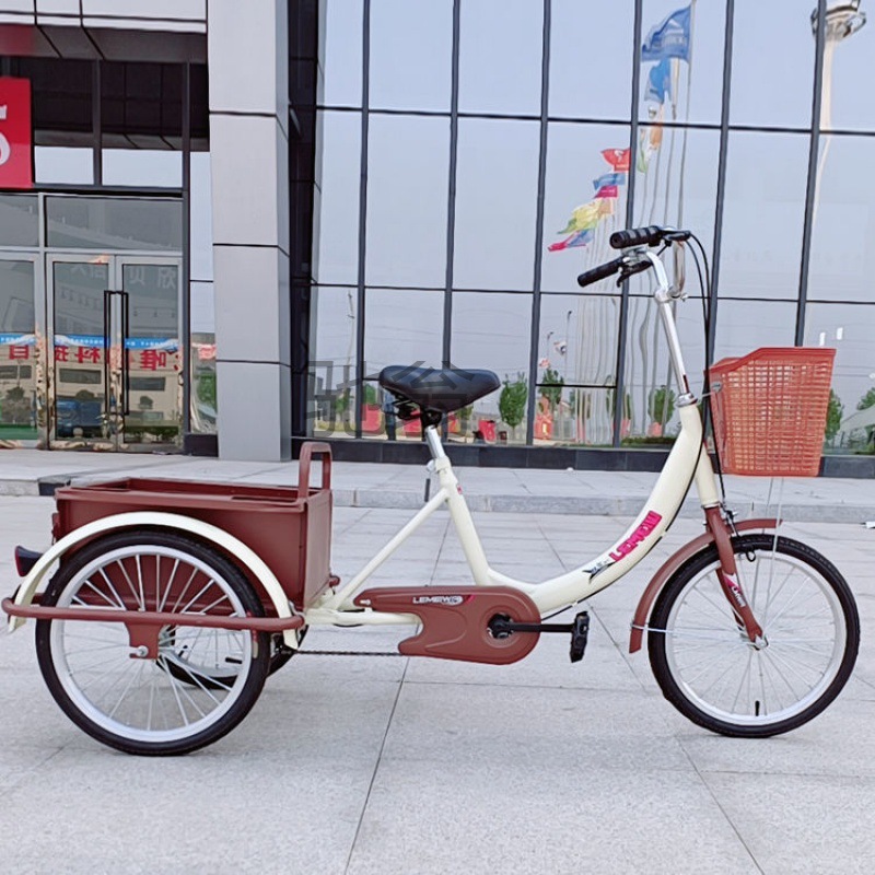 dye elderly tricycle bicycle adult human mobility scooter pedal pedal pedal elderly light manned cargo details Picture