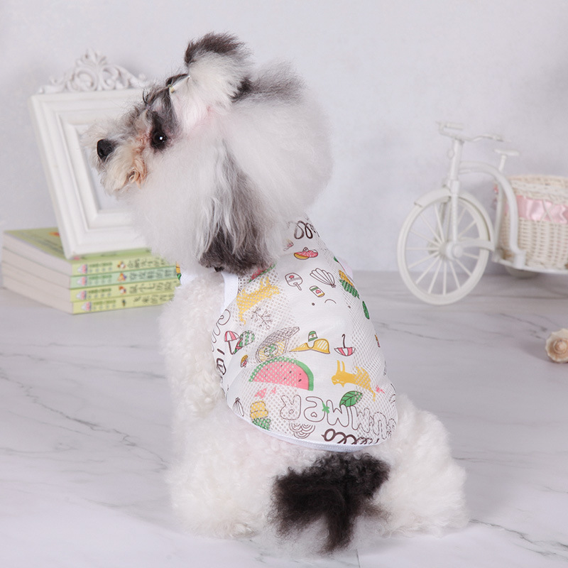 狗狗服装实物图