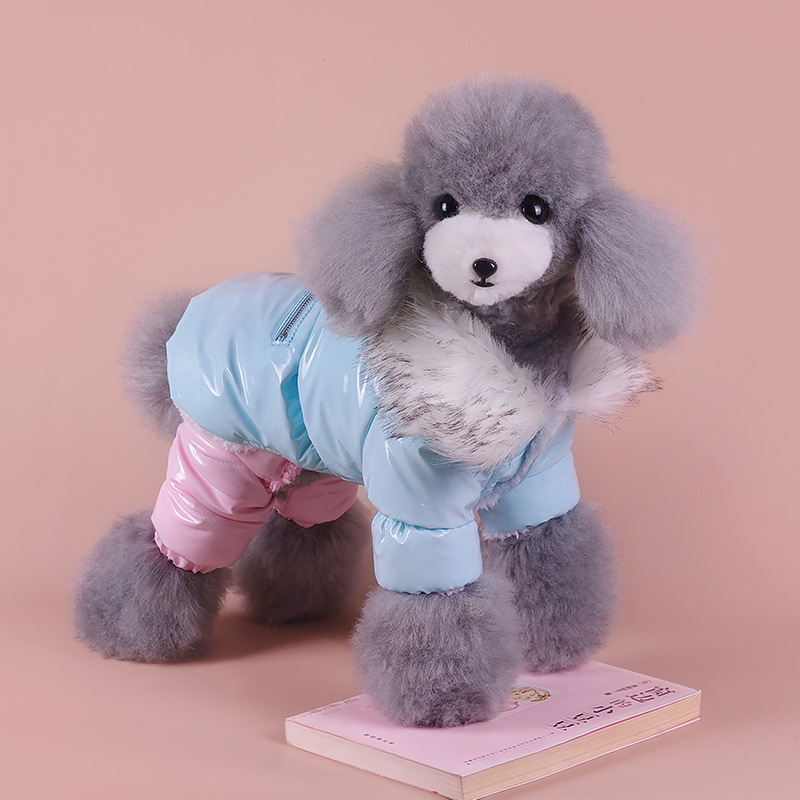 宠物裤子秋冬/宠物服饰/宠物服装产品图