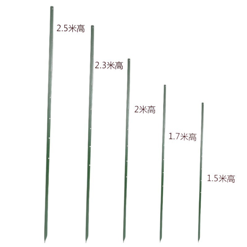 import白底实物图