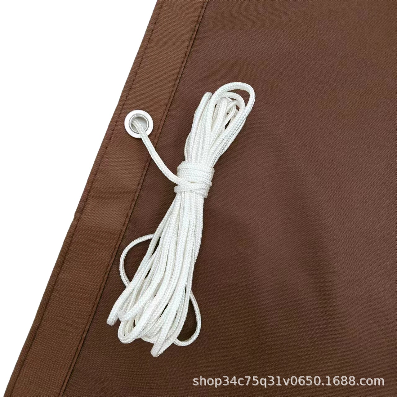 import白底实物图