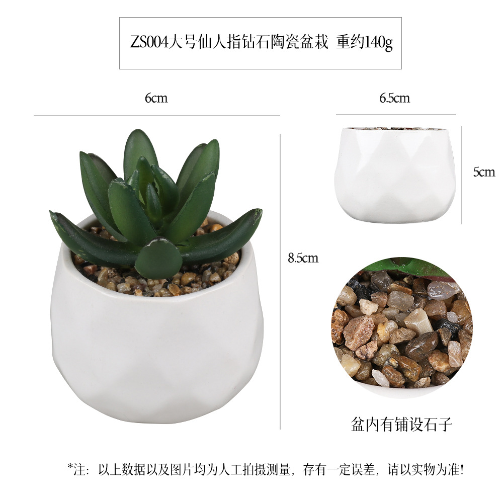 Amazon Simulation Succulent Ceramic Pot 4-piece Home Decoration simulation plant succulent bonsai set details Picture