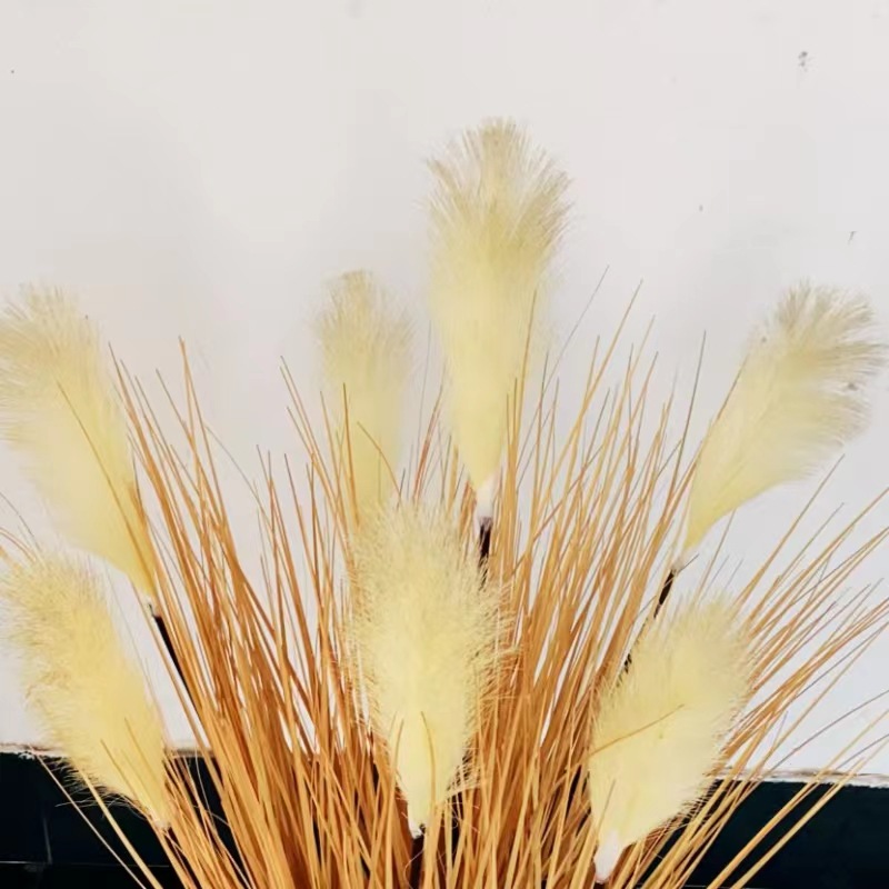 Factory store potted plant wholesale, grass POTS, onion grass, all yellow winter color decoration, reeds, soft decoration, landscape shooting props Application Scenario