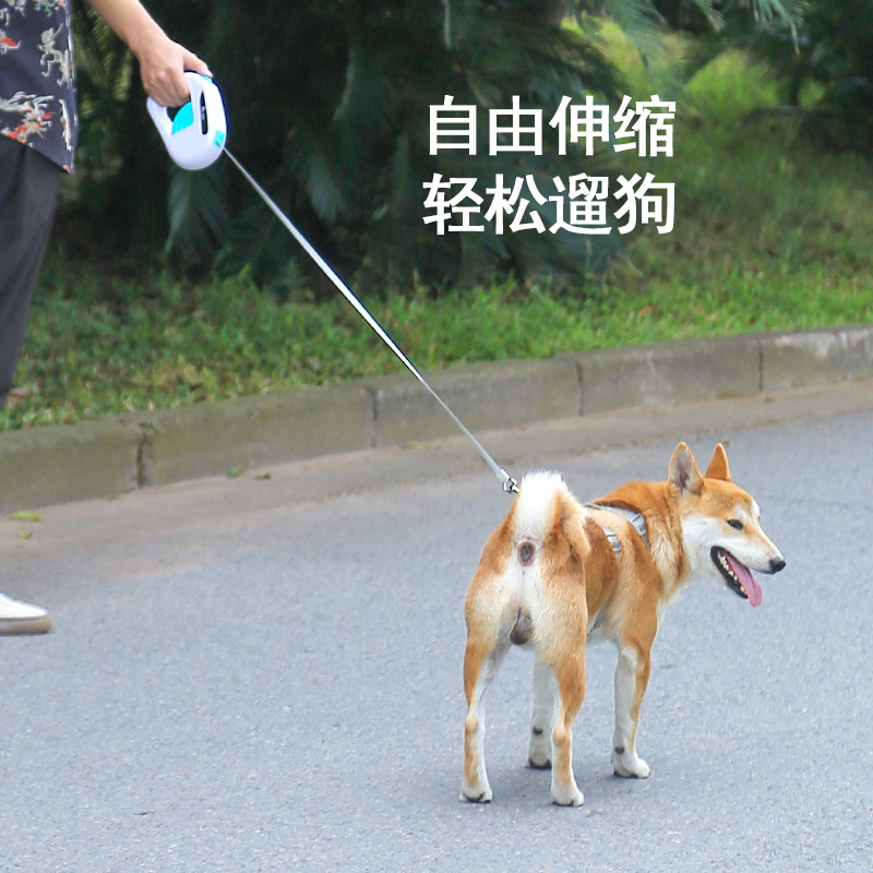 新款宠物狗狗产品图
