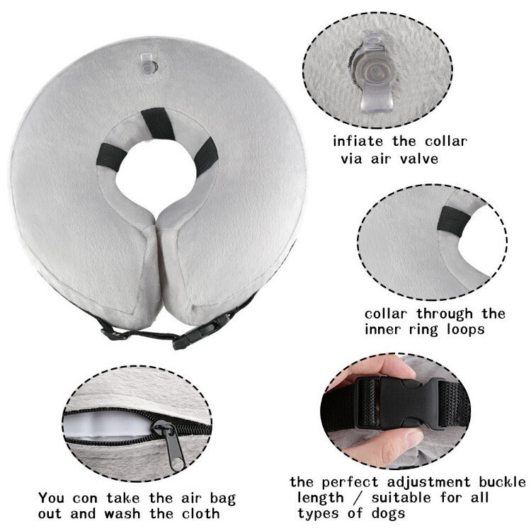 狗链/狗绳/宠物用品/狗狗狗狗用品/宠物产品图