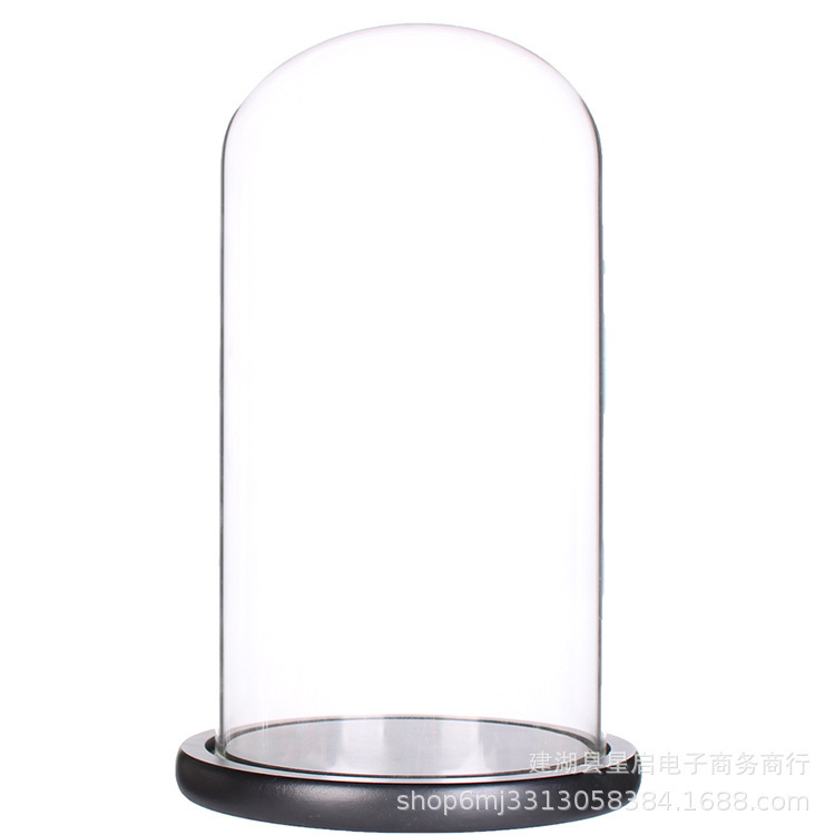 The original manufacturer supports various sizes of preserved flower glass covers for creative handicrafts and transparent glass vases Item Picture