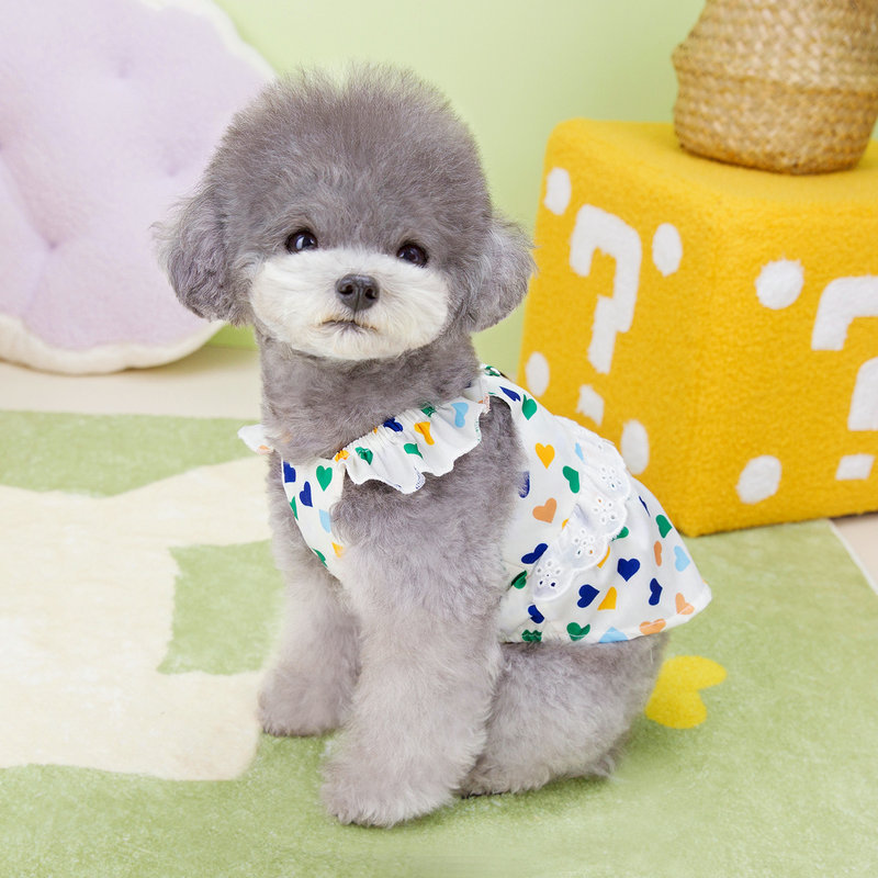 Dog clothes, inS-style pet clothing, new spring and summer cute dress, heart-shaped printed cat clothes dress Application Scenario