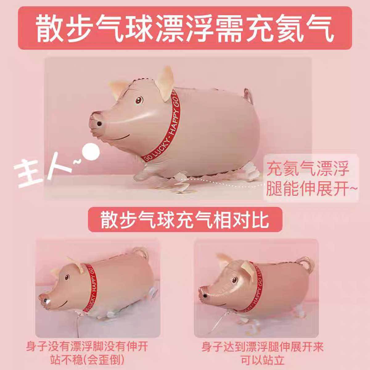 气球/气球玩具/气球装饰/氢气球/波波球白底实物图