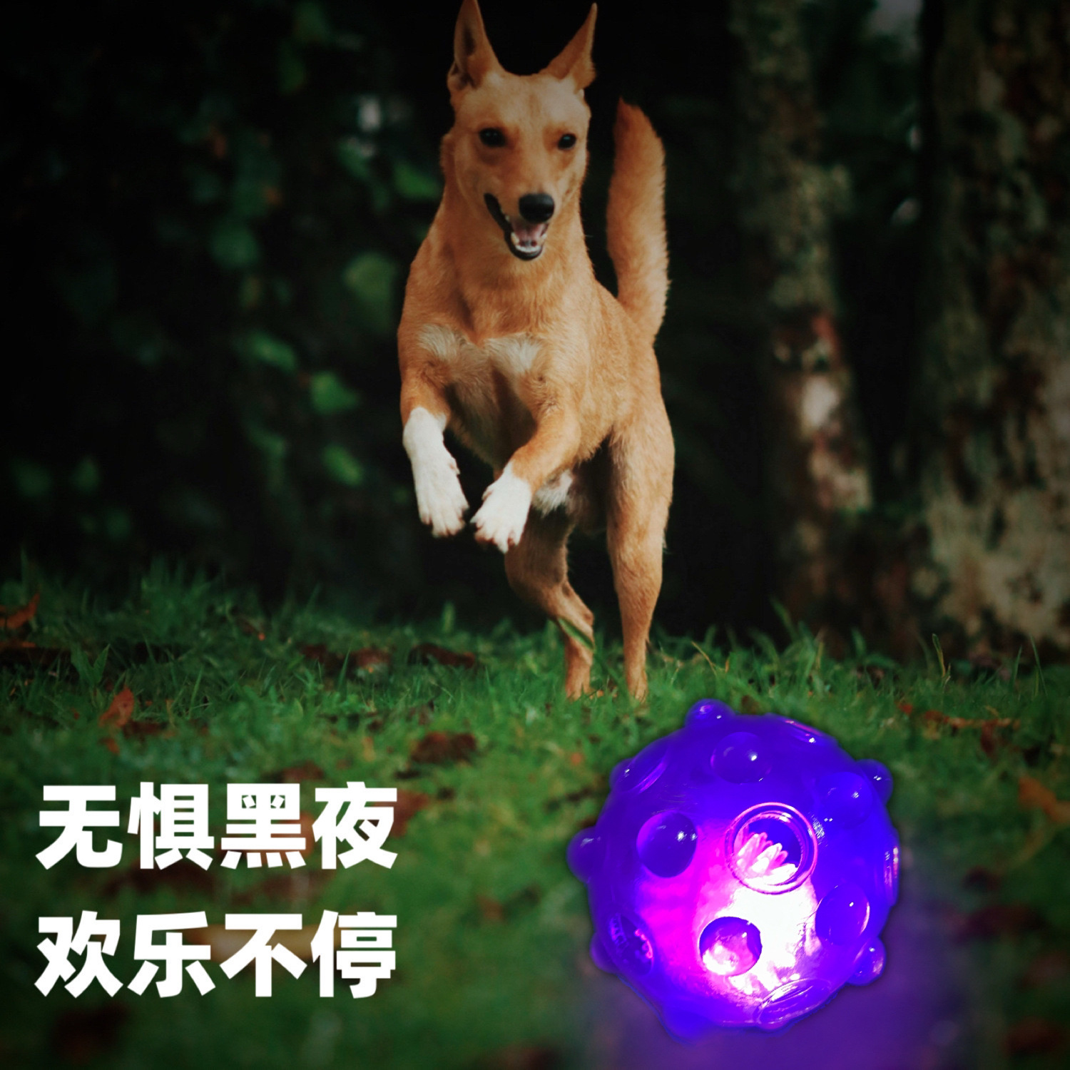 Cross-border Amazon voice-emitting and glowing toy dog flash ball puppy interactive self-entertainment and boredom pet toy wholesale Specification image