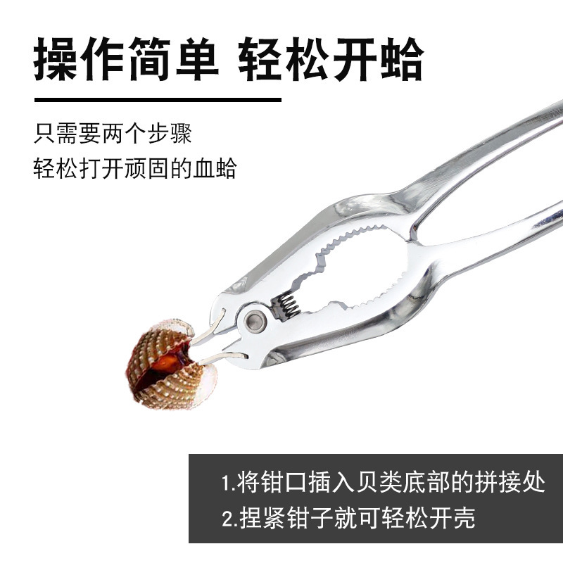 Walnut with clams, blood clams, flower clams, clam shells with oysters, shell opener, zinc alloy, blood clams with flower clams, shell opener Specification drawing