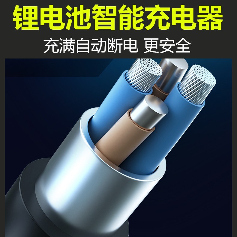 Large-capacity lithium iron phosphate batteries from well-known brands, with high-power endurance of 24V, 48V, 60V, and 70V, are suitable for outdoor recreational vehicles Specification image