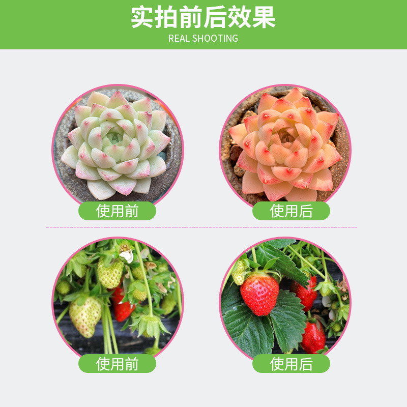 LED植物生长灯实物图