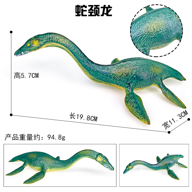 动植物/仿真模型实物图