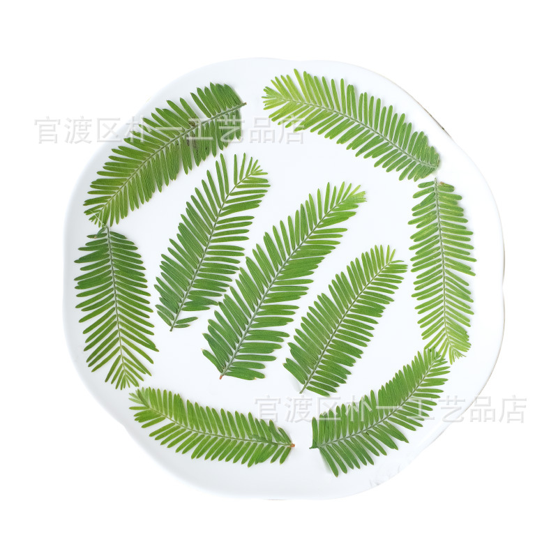 import白底实物图