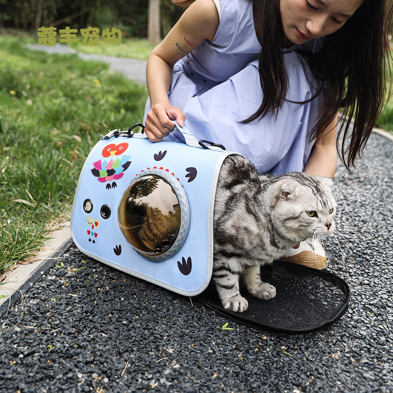 Pet portable space capsule, portable cat bag, hand-held foldable single-shoulder bag, outdoor backpack, cartoon cat and dog bag Application Scenario