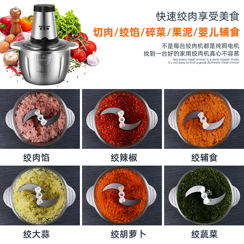 Factory Supplied Stainless Steel British Standard Meat Grinder 110V Small Appliance Multi-Purpose Meat Crusher Kitchen Cooking Mixer Stranding Machine Application Scenario