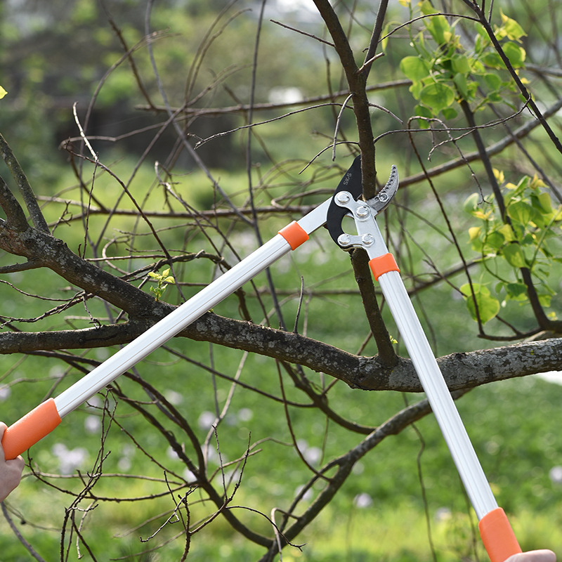 Pruning scissors for branches