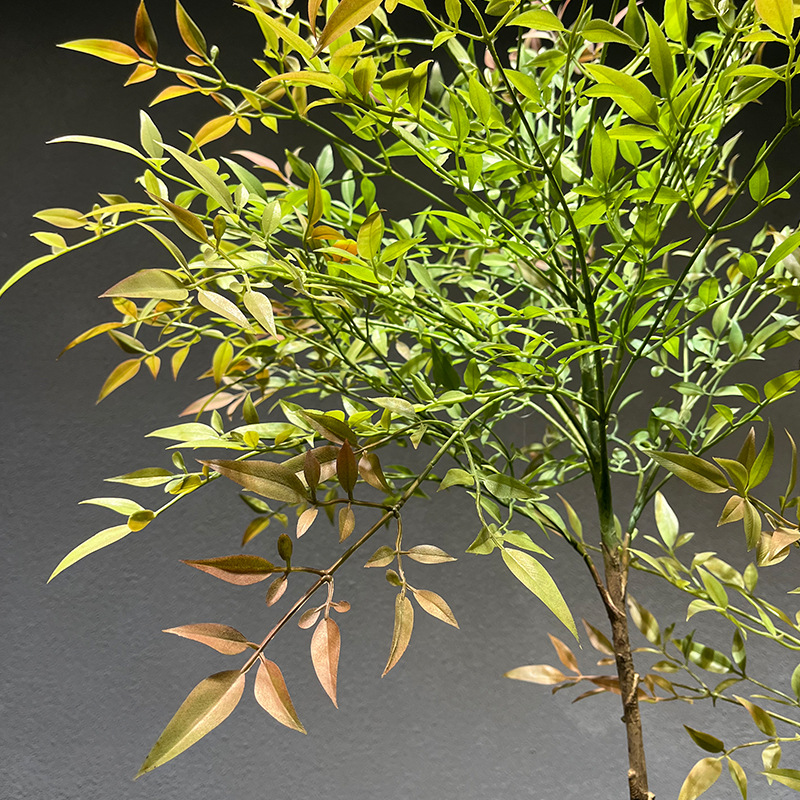花束/仿真植物/绿植摆件/绿植装饰/竹子装饰细节图