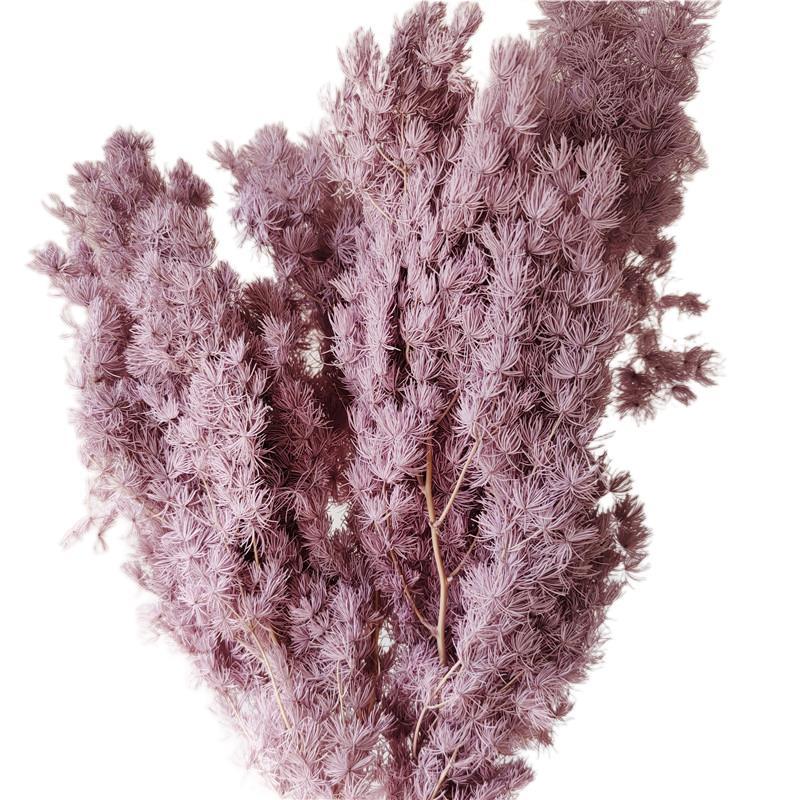 Yunnan source manufacturer's fresh-keeping, preserved and dried Penglai pine flowers for home decoration Item Picture