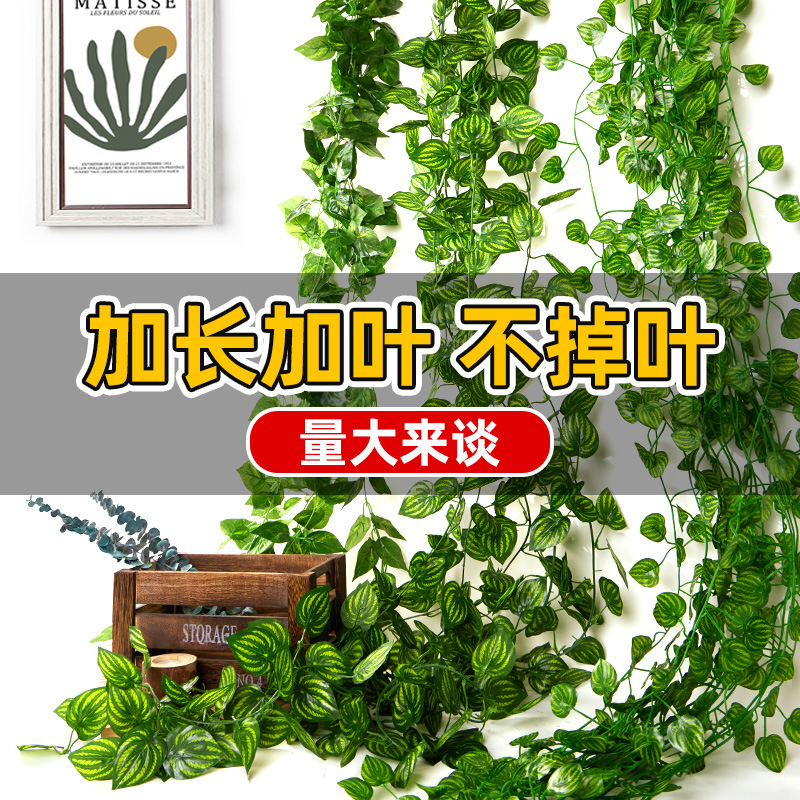 import产品图